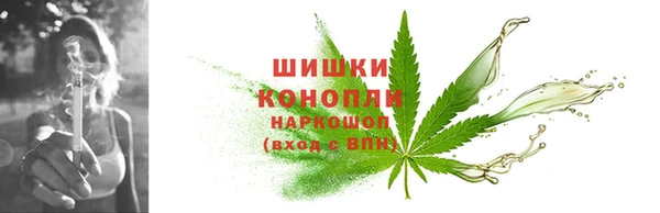 винт Ветлуга