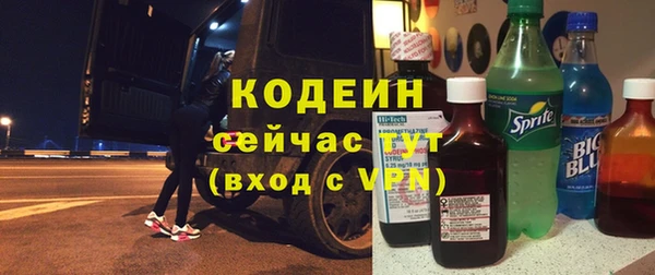 СК Весьегонск